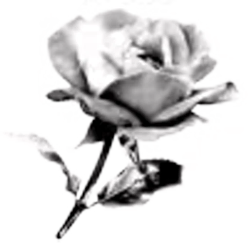 🤩 Эмодзи «gothic vibes» для Telegram