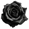 🌹 Эмодзи «gothic vibe» для Telegram