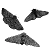 🦋 Эмодзи «gothic vibe» для Telegram