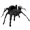 🕷️ Эмодзи «gothic vibe» для Telegram