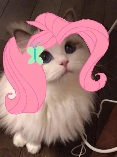 😺 Стикер «MLP» для Telegram