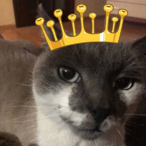 👑 Стикер «simba» для Telegram