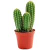 Стикер 8 Green ᵇʸ