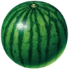 Стикер 57 Green ᵇʸ