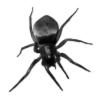 🕷️ Эмодзи «༺ ༻» для Telegram