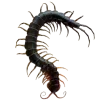 🐛 Эмодзи «༺ ༻» для Telegram