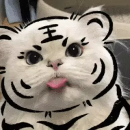 🤪 Стикер «Dong moe» для Telegram