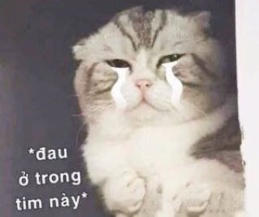 😭 Стикер «Dong moe» для Telegram