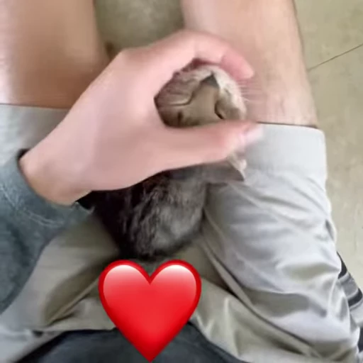 🫦 Стикер «Dong moe» для Telegram