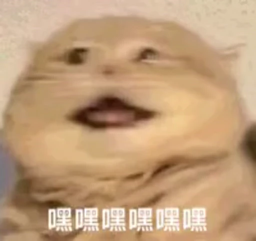 🫣 Стикер «Dong moe» для Telegram