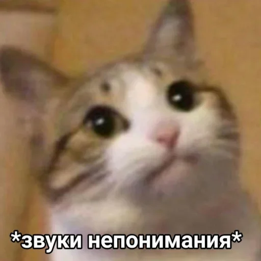 ❓ Стикер «Стикеры одинокой бабули» для Telegram