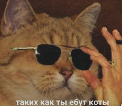 😎 Стикер «Стикеры одинокой бабули» для Telegram