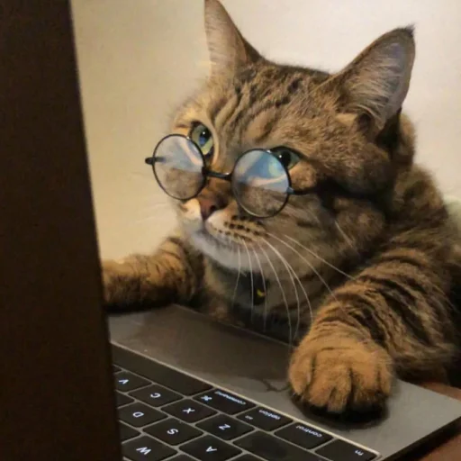 🧐 Стикер «Стикеры одинокой бабули» для Telegram