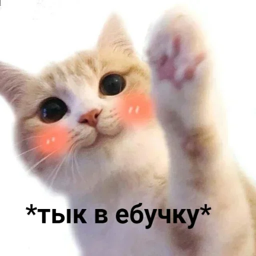 👆 Стикер «Стикеры одинокой бабули» для Telegram