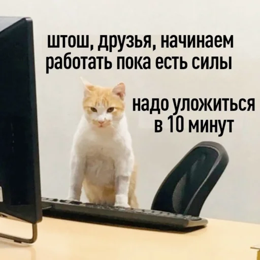 🥹 Стикер «Стикеры одинокой бабули» для Telegram
