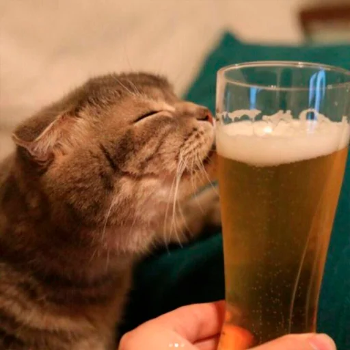 🍺 Стикер «Стикеры одинокой бабули» для Telegram