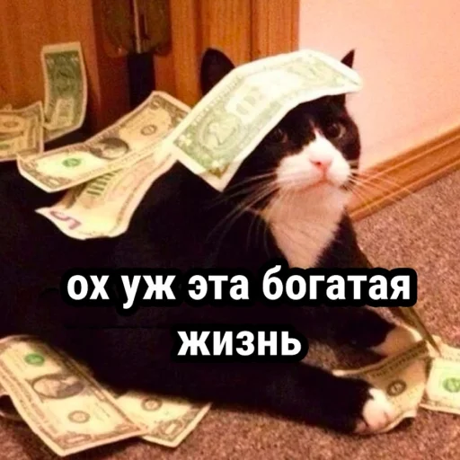 💲 Стикер «Стикеры одинокой бабули» для Telegram