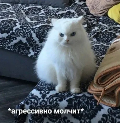 🤬 Стикер «Стикеры одинокой бабули» для Telegram