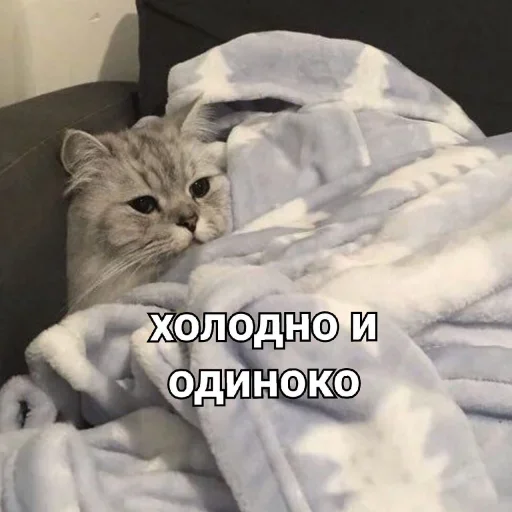 🥲 Стикер «Стикеры одинокой бабули» для Telegram