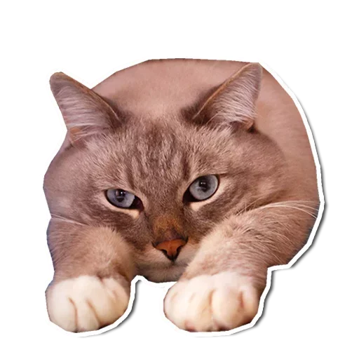 🙂 Стикер «Стикеры одинокой бабули» для Telegram