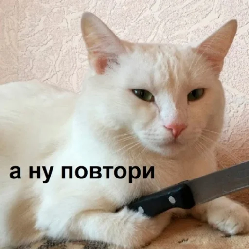 🔪 Стикер «Стикеры одинокой бабули» для Telegram