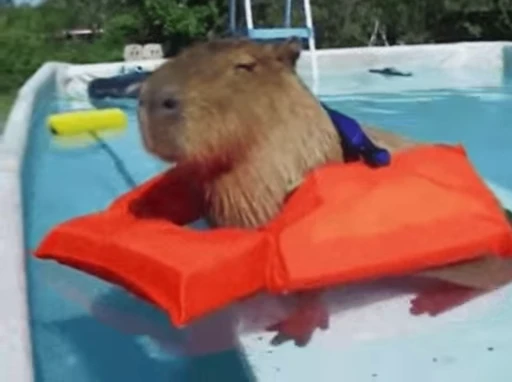 😂 Стикер «GrandPa Capybaras» для Telegram