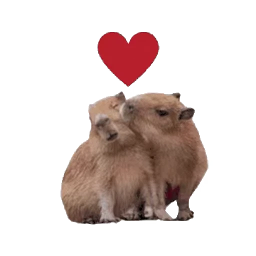 😇 Стикер «GrandPa Capybaras» для Telegram