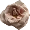 🌟 Эмодзи «gray» для Telegram