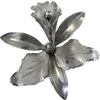 🌟 Эмодзи «gray» для Telegram