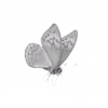 Стикер 46 🕊 gray emoji