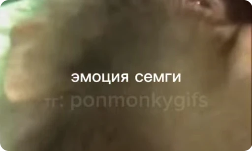 😮‍💨 Стикер «Манки Пон» для Telegram