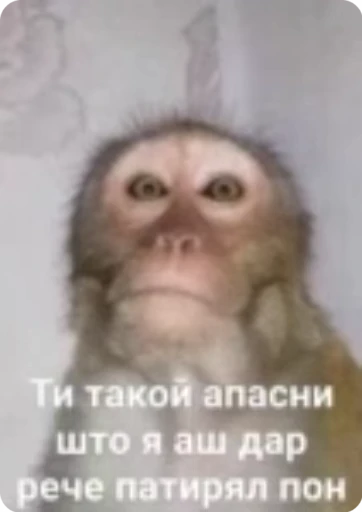 🤐 Стикер «Манки Пон» для Telegram