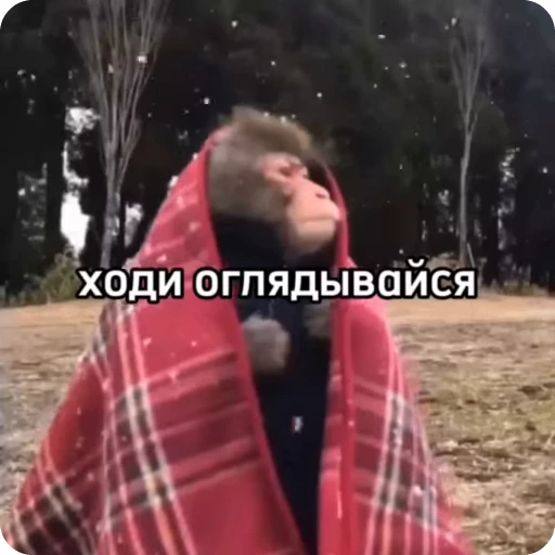 🌟 Стикер «Манки Пон» для Telegram
