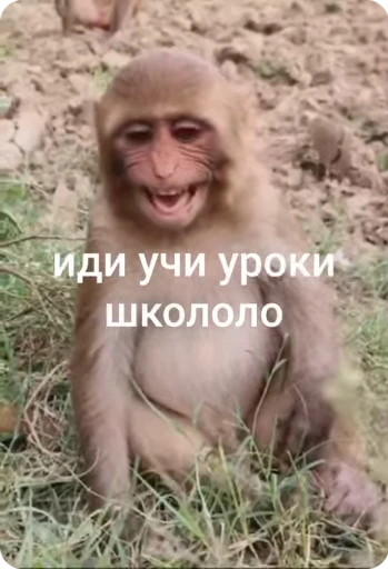 📖 Стикер «Манки Пон» для Telegram