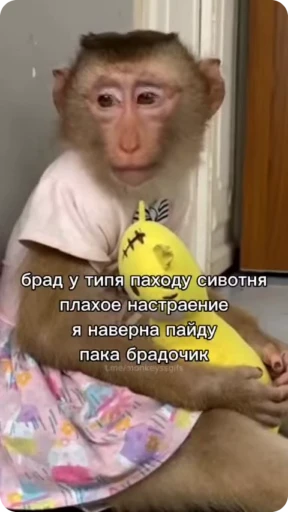 👋 Стикер «Манки Пон» для Telegram