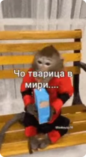 🌏 Стикер «Манки Пон» для Telegram