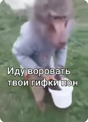 🪣 Стикер «Манки Пон» для Telegram