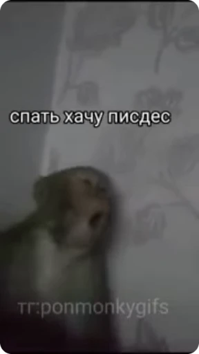 😴 Стикер «Манки Пон» для Telegram