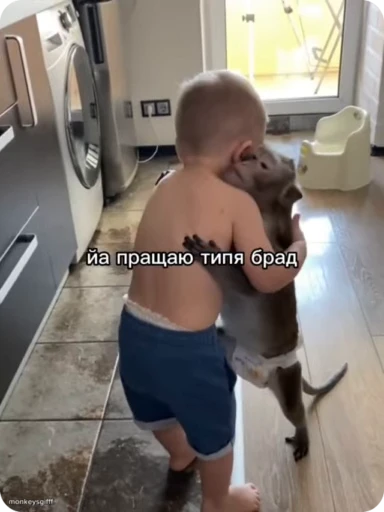🫂 Стикер «Манки Пон» для Telegram