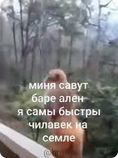 ⚡ Стикер «Манки Пон» для Telegram