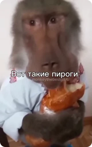 🥧 Стикер «Манки Пон» для Telegram
