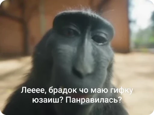 😊 Стикер «Манки Пон» для Telegram