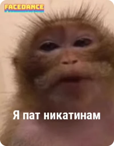 💉 Стикер «Манки Пон» для Telegram
