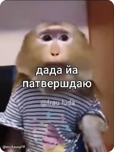 ✅ Стикер «Манки Пон» для Telegram
