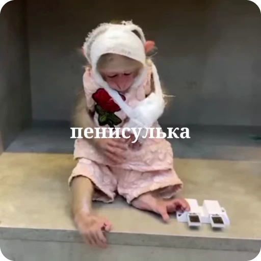 🚶‍♂ Стикер «Манки Пон» для Telegram