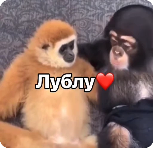 ❤️ Стикер «Манки Пон» для Telegram