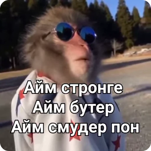 😎 Стикер «Манки Пон» для Telegram