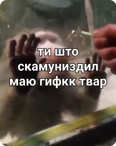 😨 Стикер «Манки Пон» для Telegram