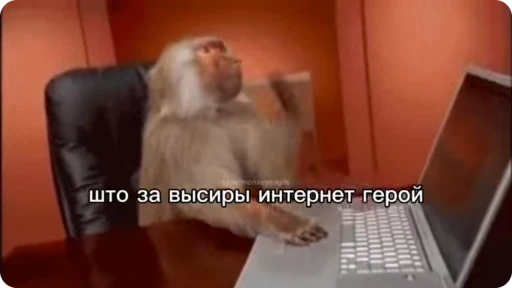 🙈 Стикер «Манки Пон» для Telegram