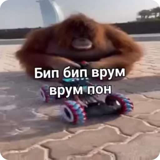 🚗 Стикер «Манки Пон» для Telegram
